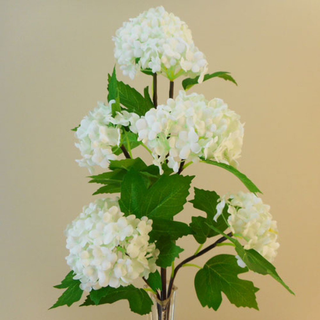Silk Viburnum Snowball Flowers Ivory 68cm Artificial Flowers